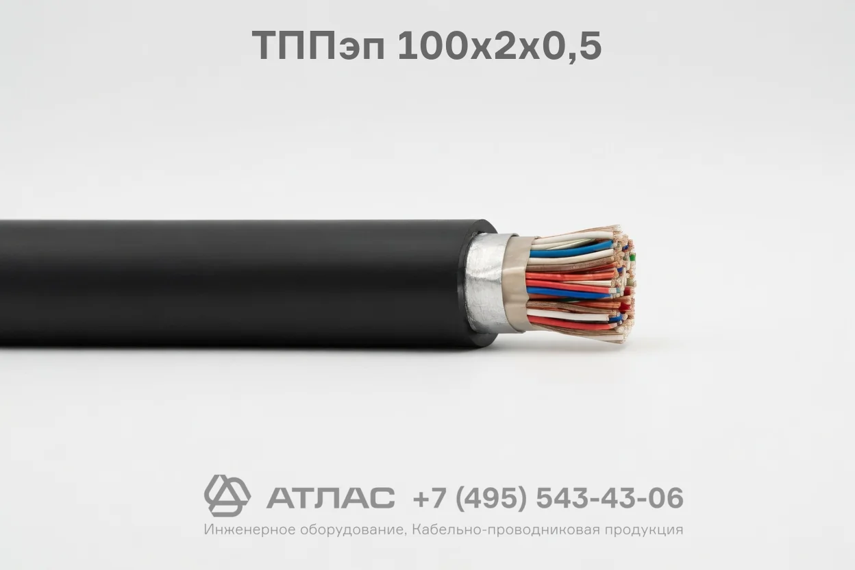 ТППэп 100х2х0,5 фото