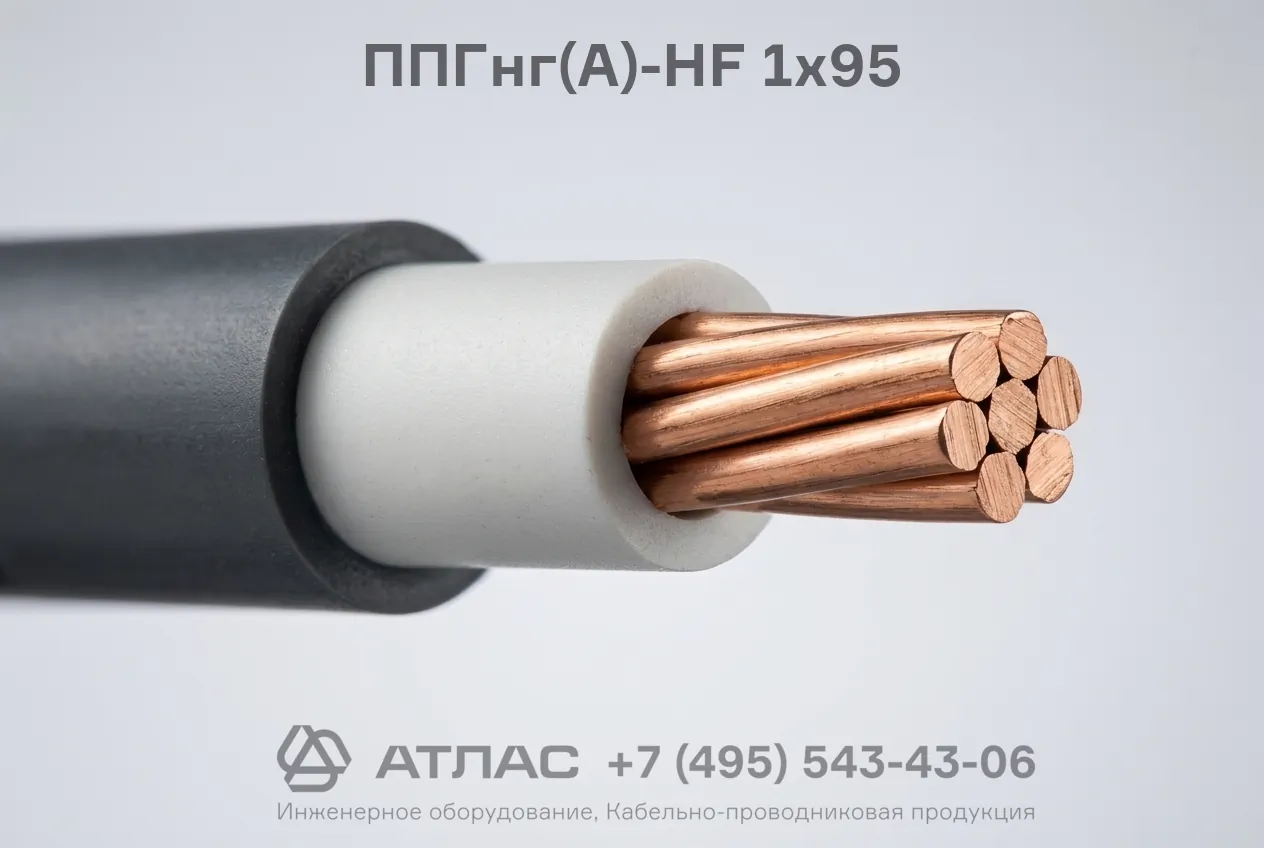 ППГнг(А)-HF 1х95 фото