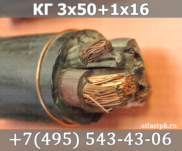 КГ 3х50+1х16 фото