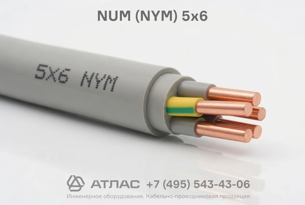 NUM (NYM) 5х6 фото