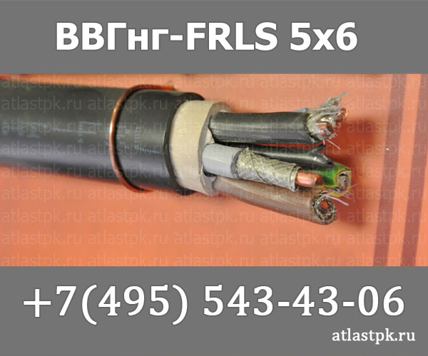 ВВГнг(А)-FRLS 5х6 фото