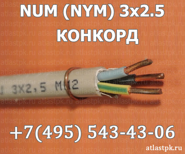 NUM (NYM) 3x2,5 КОНКОРД фото