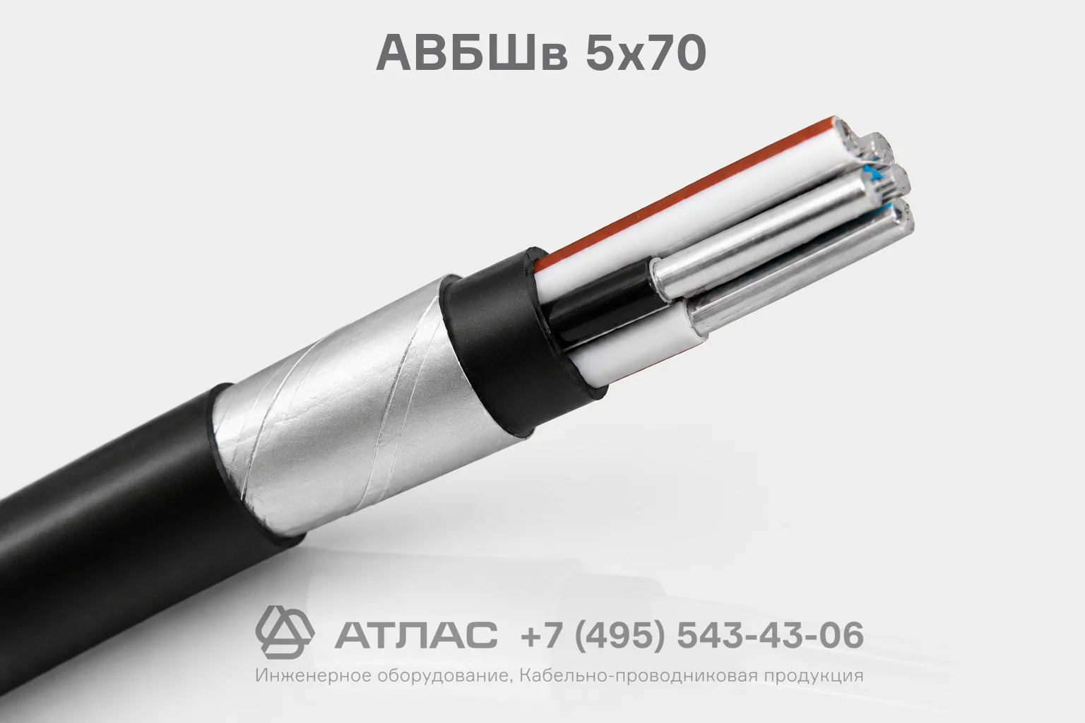 АВБШв 5х70 фото