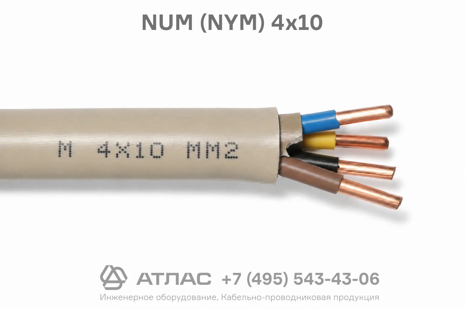 NUM (NYM) 4x10 фото