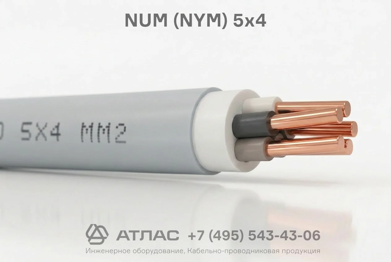 NUM (NYM) 5х4 фото