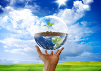 Экология встала на первое место!