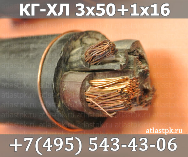 КГ - хл 3х50+1х16 фото