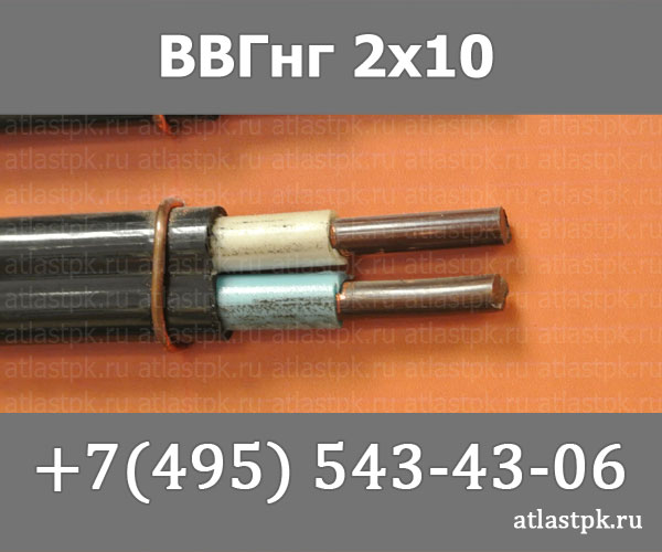 ВВГ-Пнг(А) 2 х 10 фото