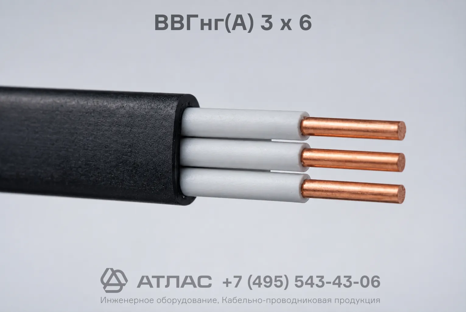 ВВГнг(А) 3 х 6 фото