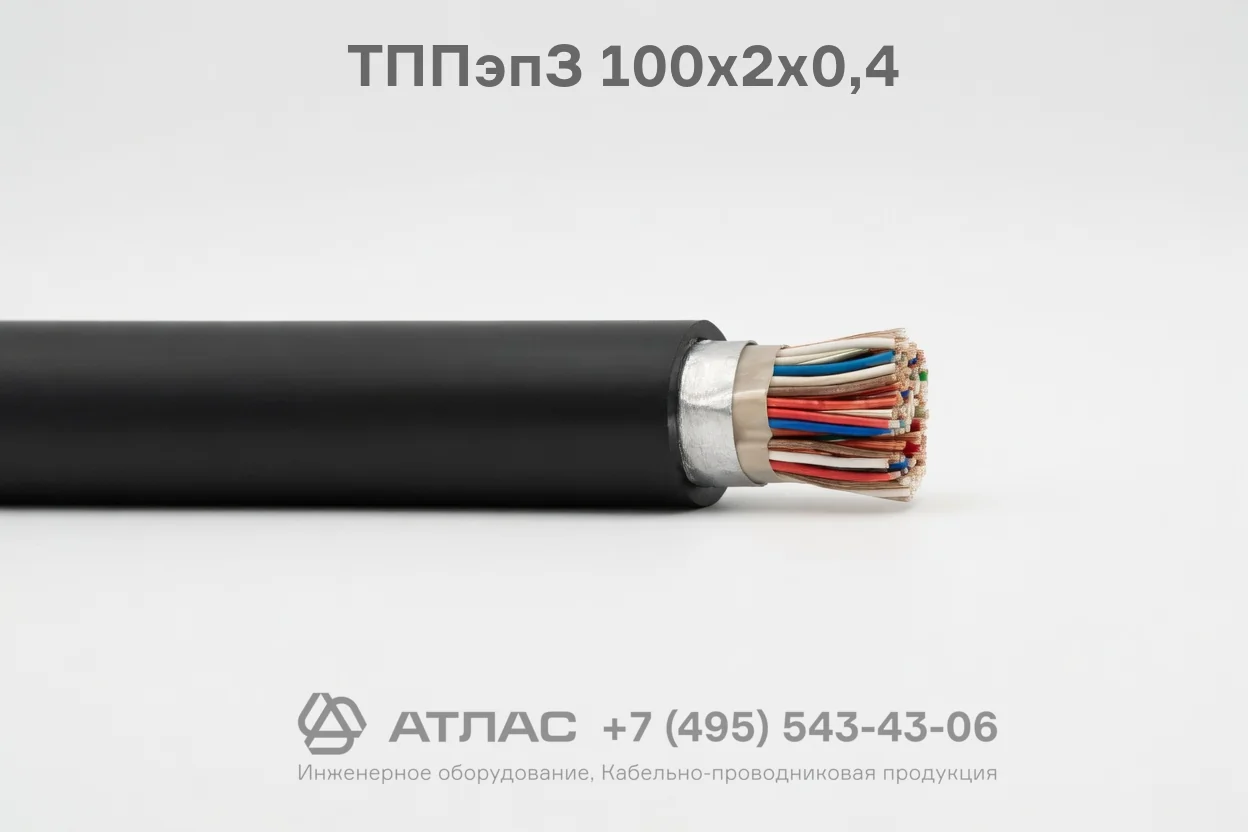 ТППэпЗ 100х2х0,4 фото