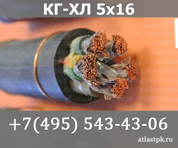 КГ - хл 5х16 фото