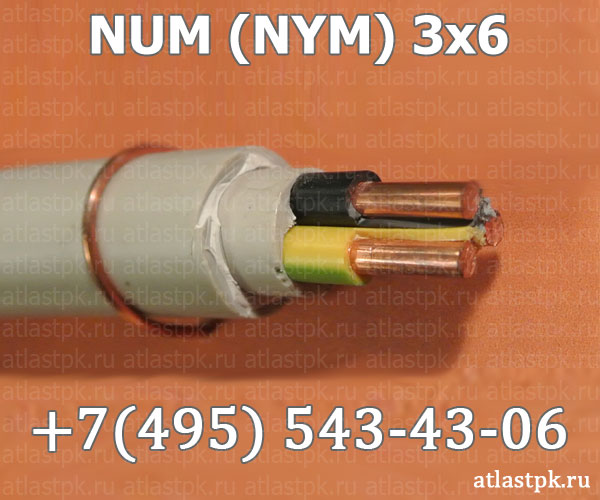 NUM (NYM) 3x6 фото