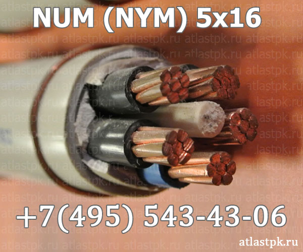 NUM (NYM) 5x16 фото
