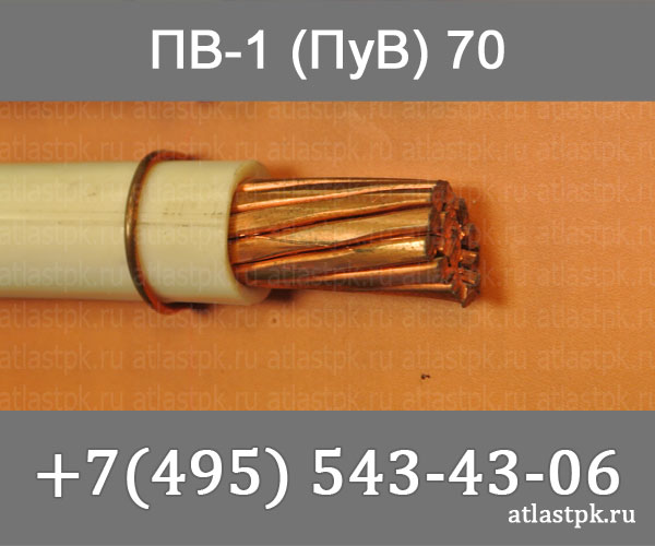ПуВ 1х70 фото