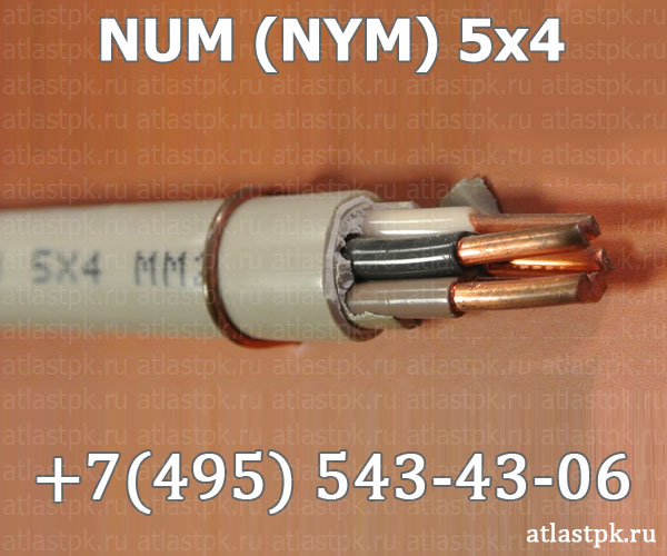 NUM (NYM) 5х4 фото