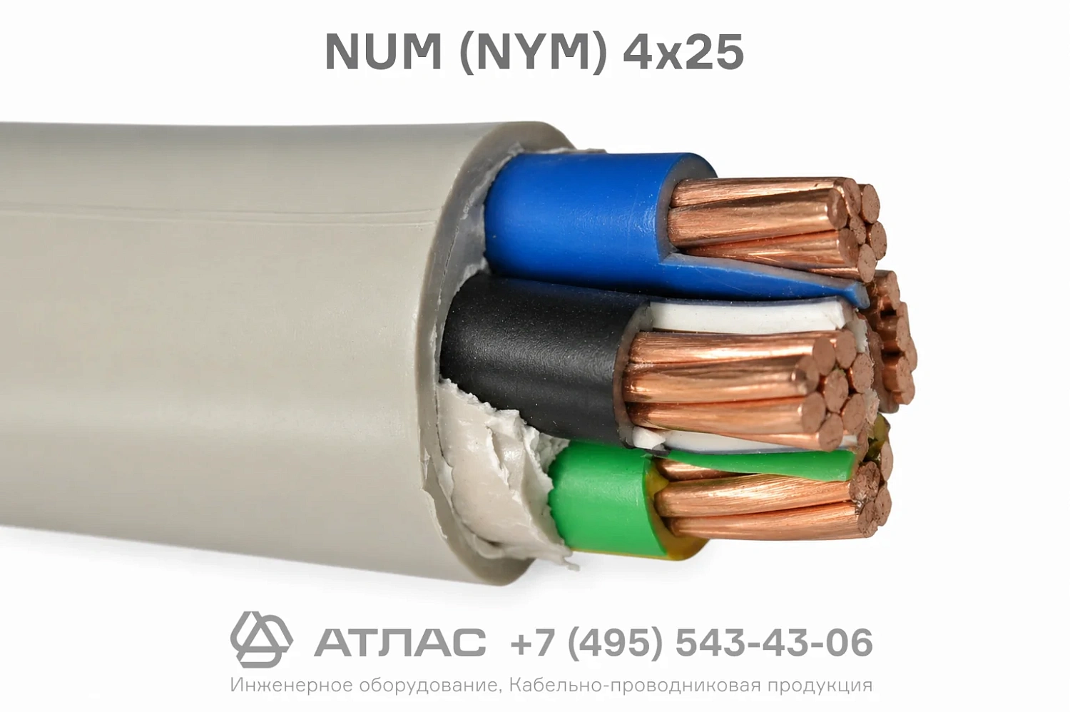 NUM (NYM) 4x25