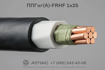 ППГнг(А)-FRHF 1х25 фото