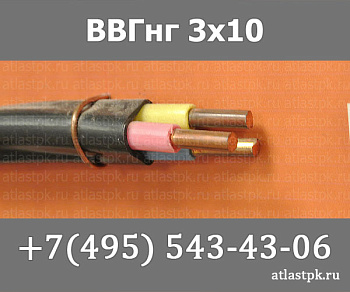 ВВГнг(А) 3 х 10 фото