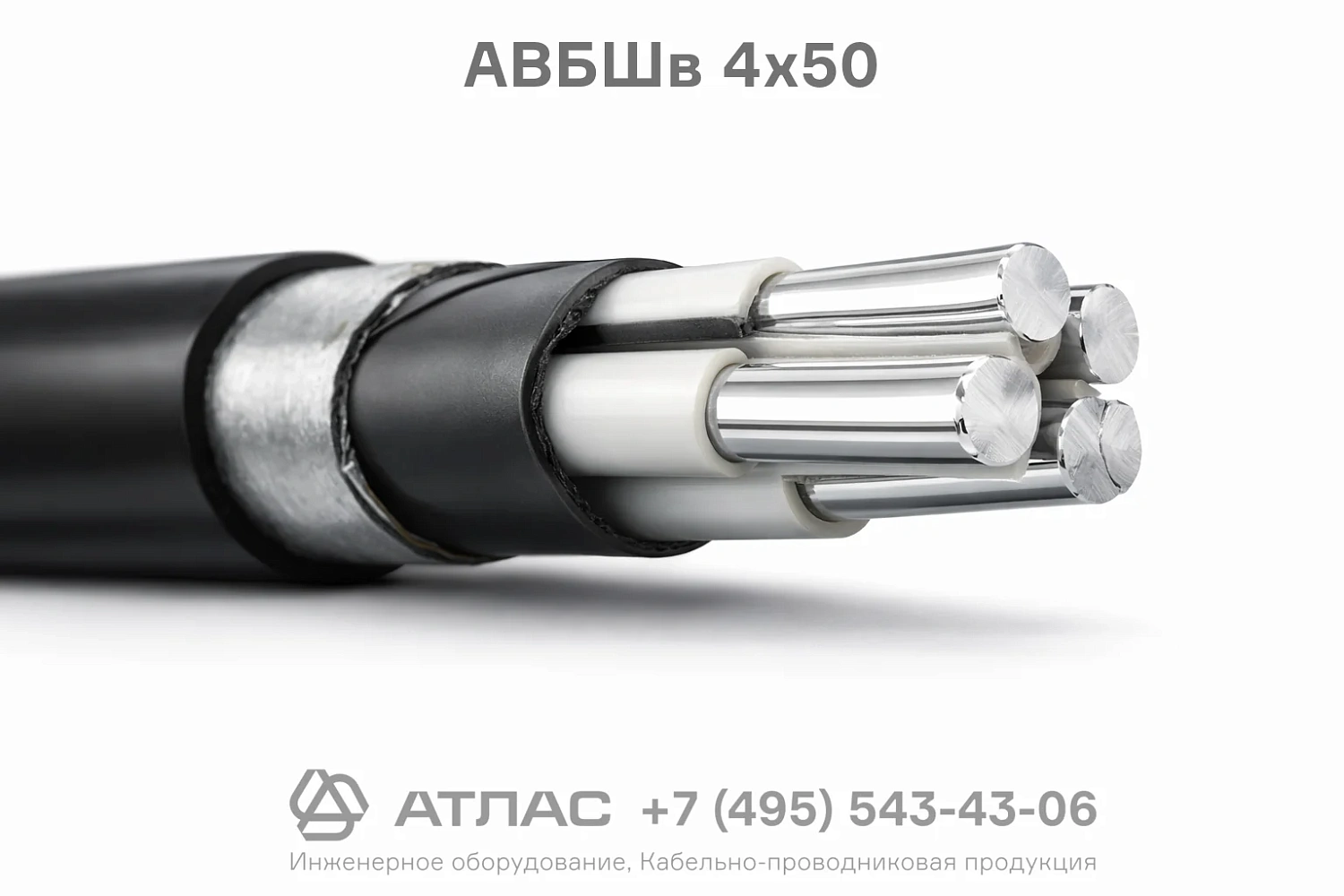 АВБШв 4х50