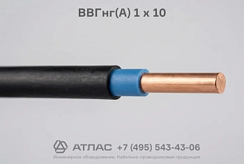 ВВГнг(А) 1 х 10 фото