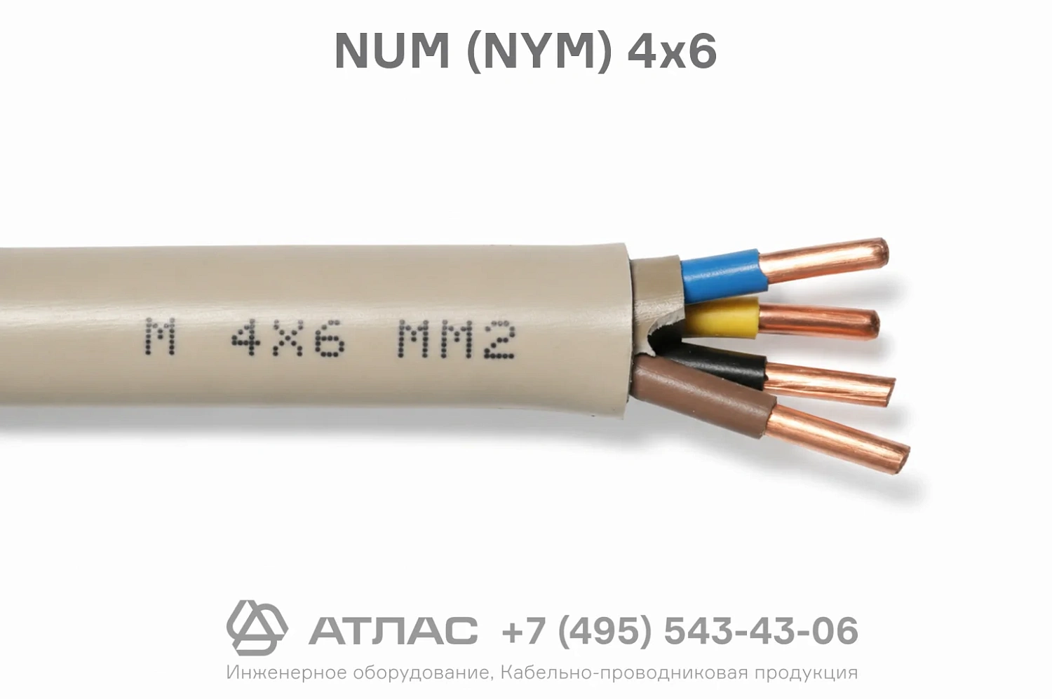 NUM (NYM) 4x6