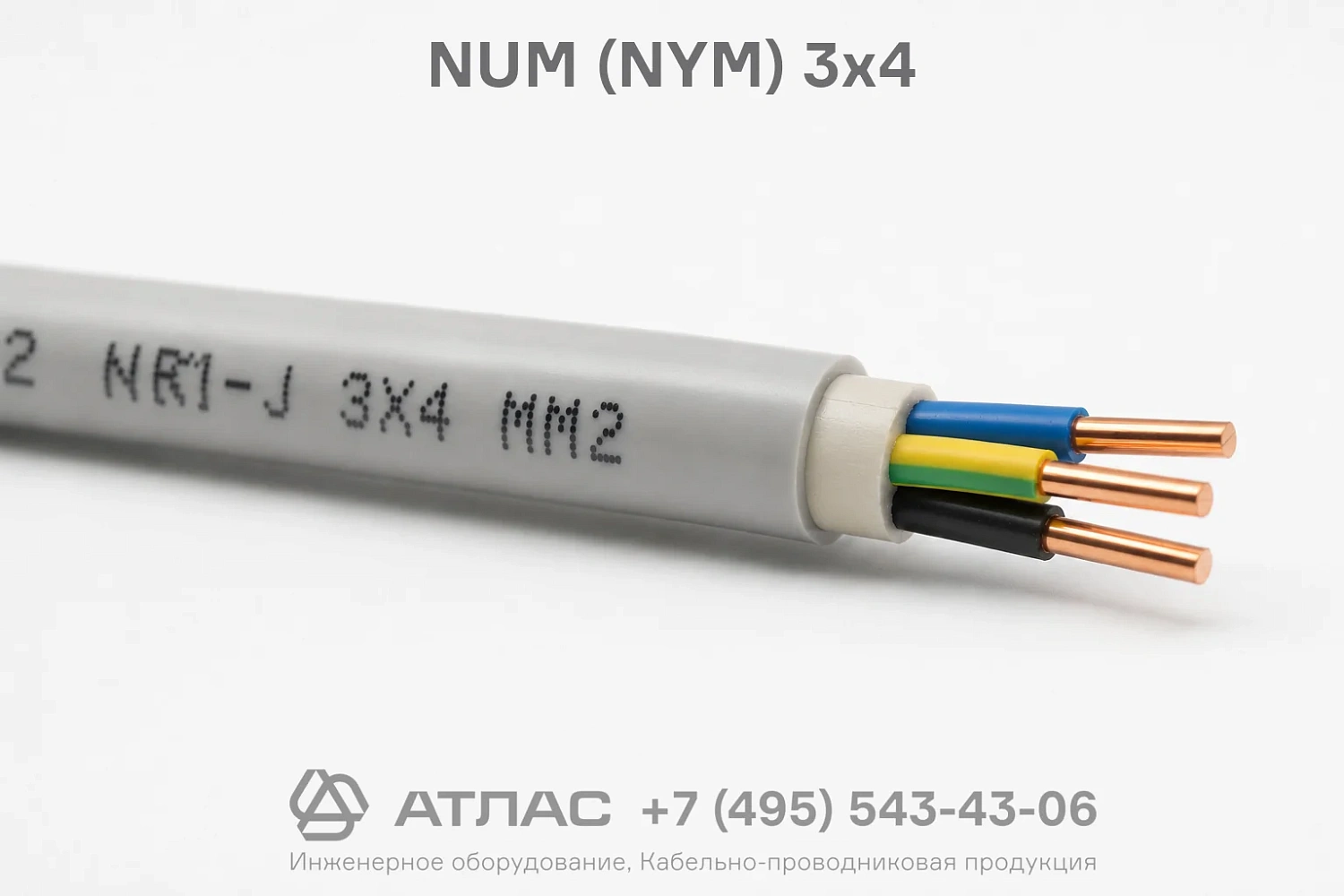 NUM (NYM) 3x4