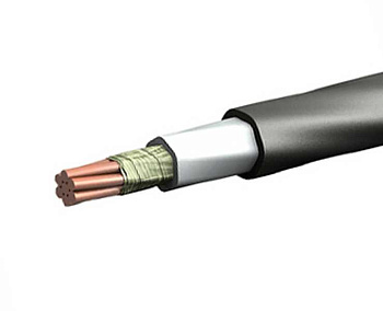 ВВГнг(А)-FRLSLTx 1х25 фото