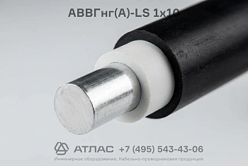 АВВГнг(А)-LS 1х10 фото