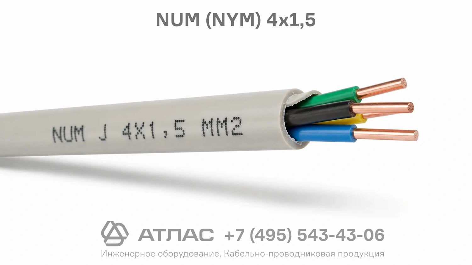 NUM (NYM) 4x1,5