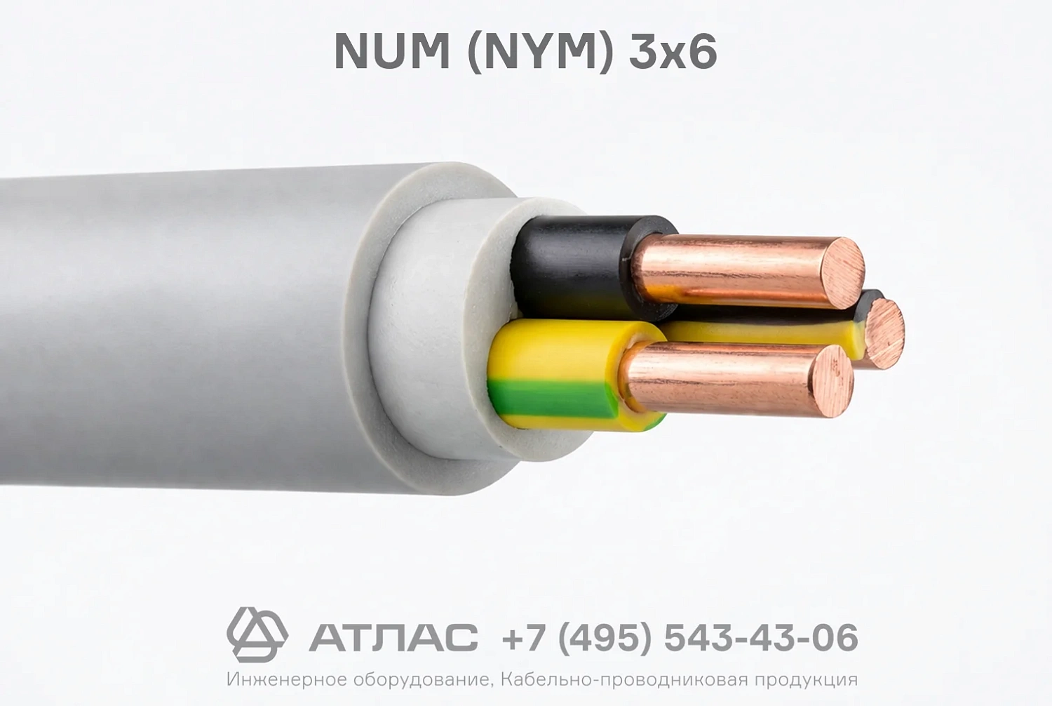 NUM (NYM) 3x6