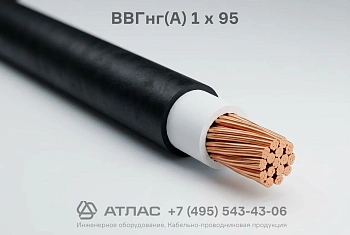 ВВГнг(А) 1 х 95 фото