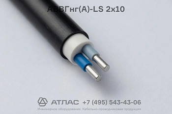 АВВГнг(А)-LS 2х10 фото